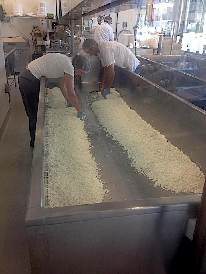 Clock Shadow cheesemaking